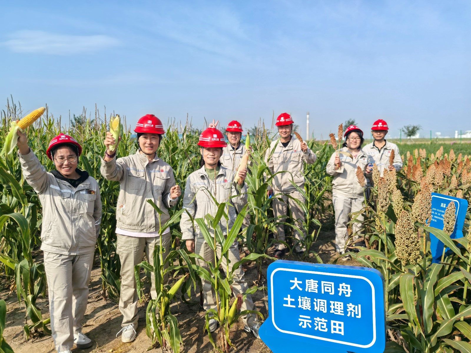 1xBET的示范田丰收啦  (1).jpg